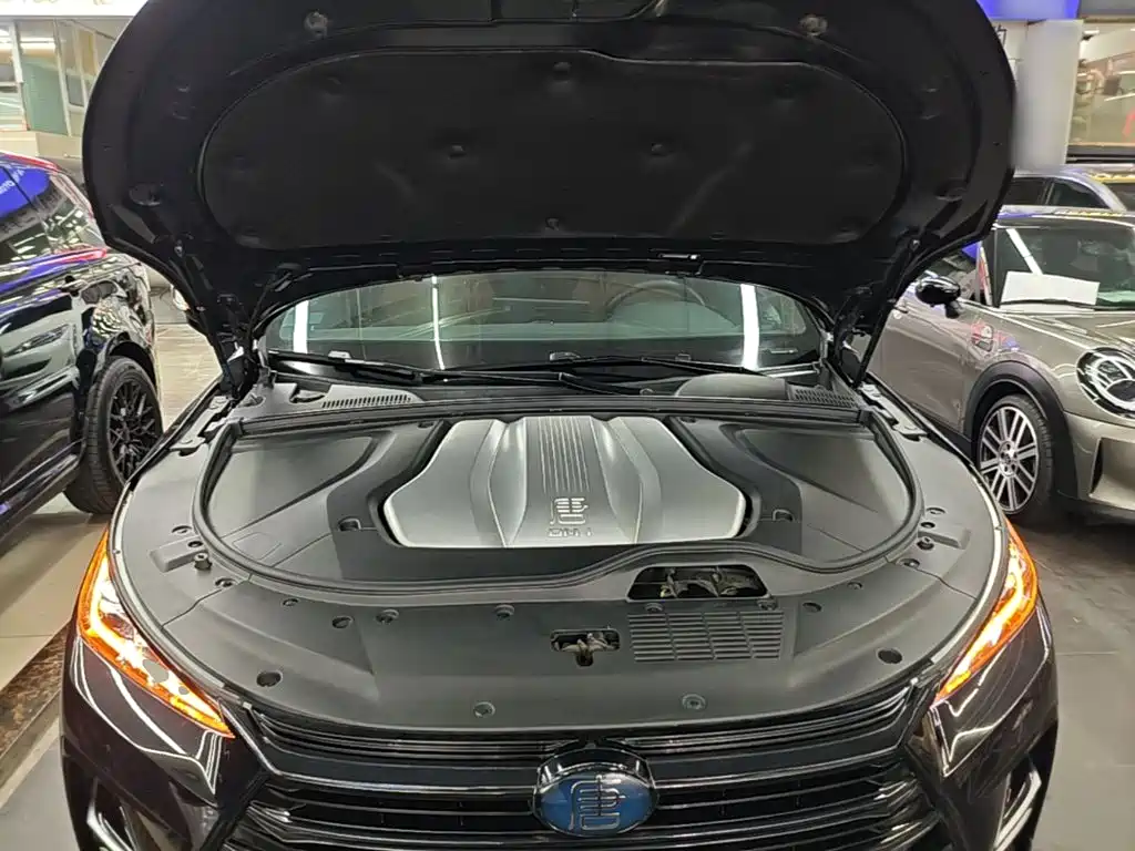 BYD Tang New Energy — миниатюра 20