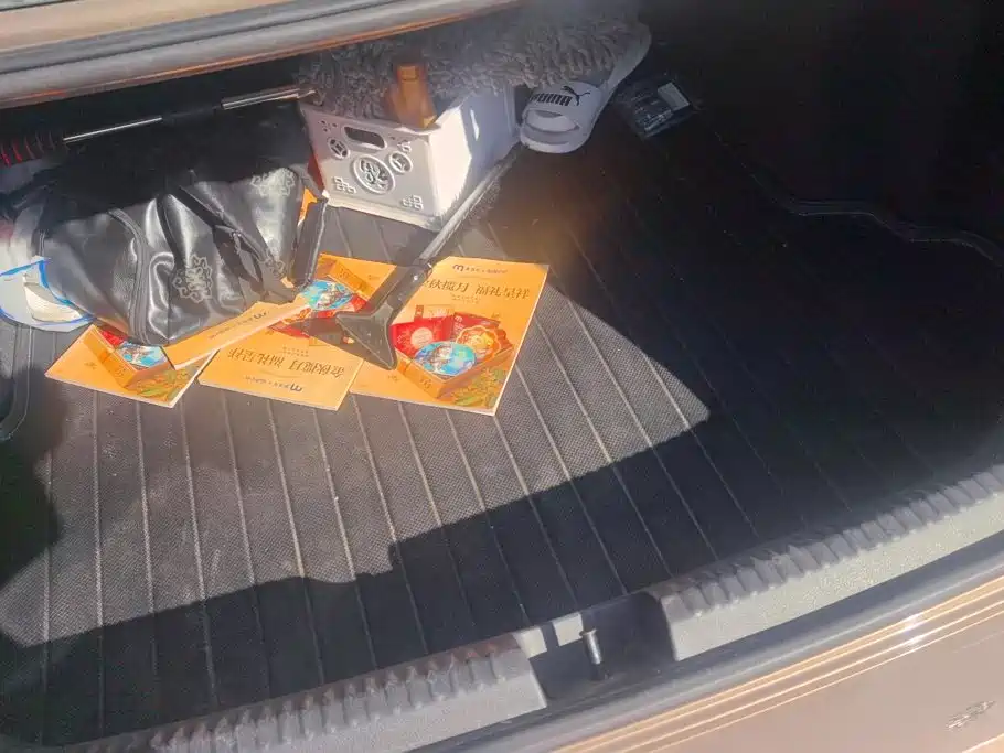 Volkswagen Sagitar — миниатюра 4