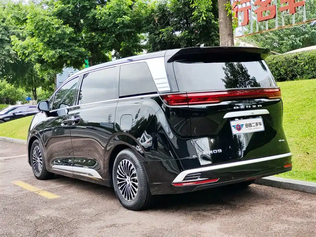 DENZA  D9