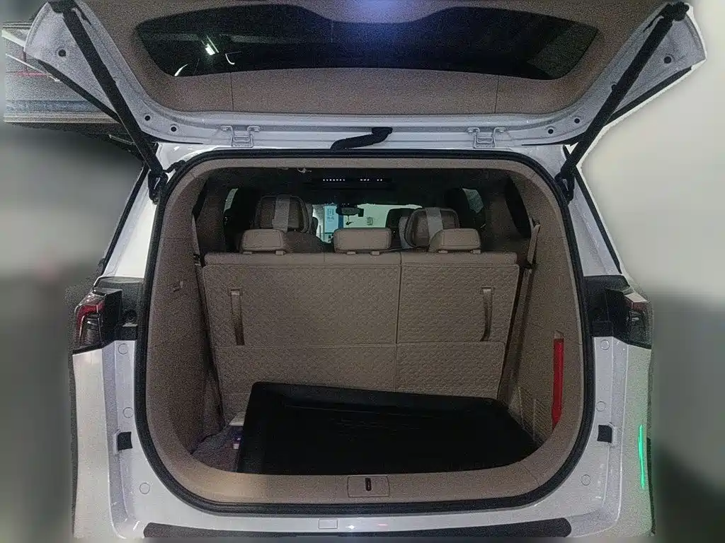 Buick GL8 Hybrid — миниатюра 15