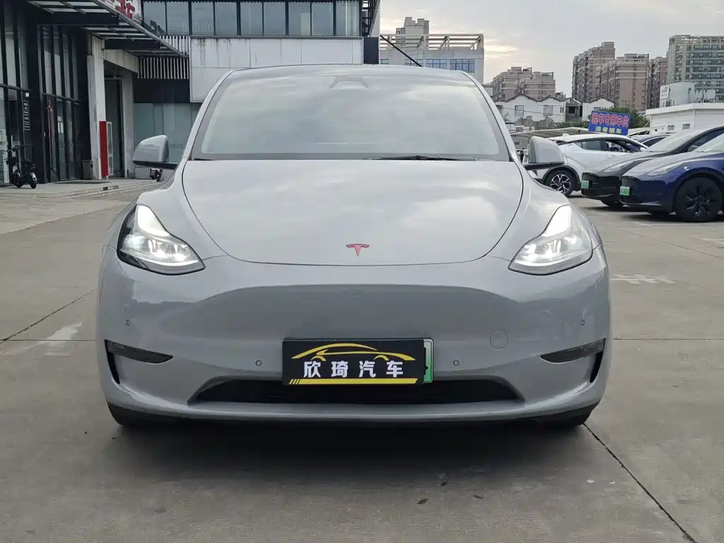 Tesla Model Y — миниатюра 2