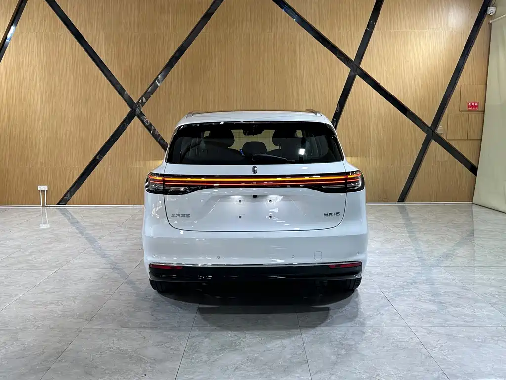 Shangjie Shangjie H5 — миниатюра 19