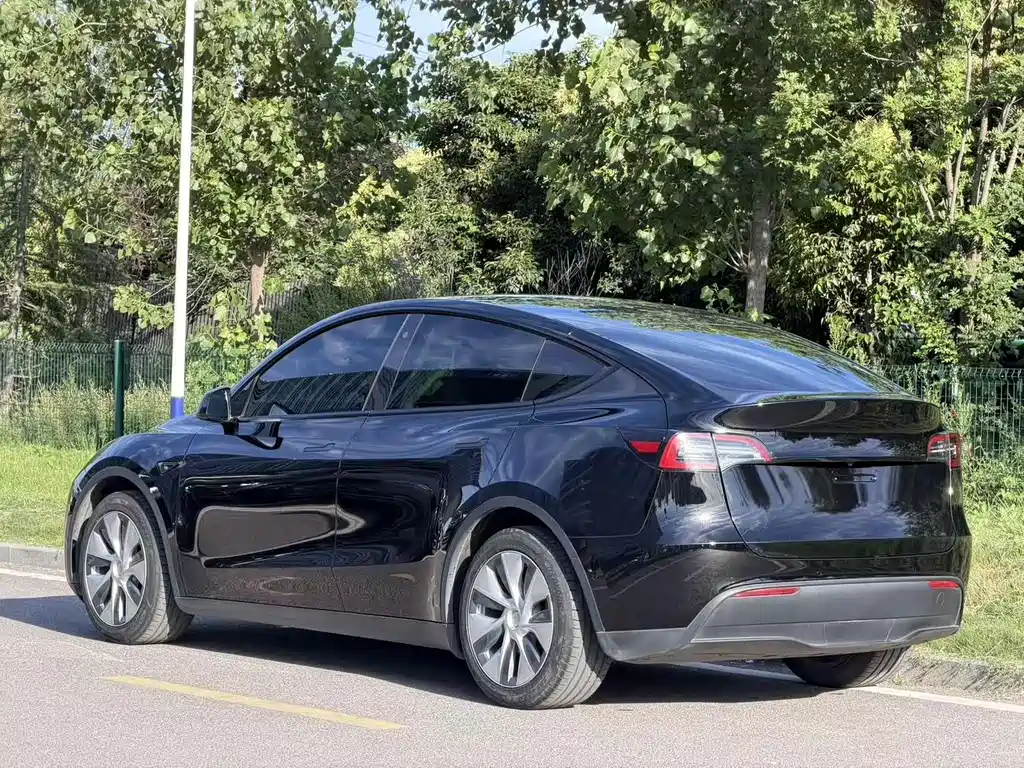 Tesla Model Y — миниатюра 7