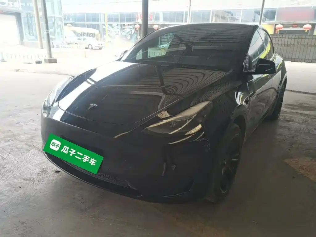 Tesla Model Y — миниатюра 2