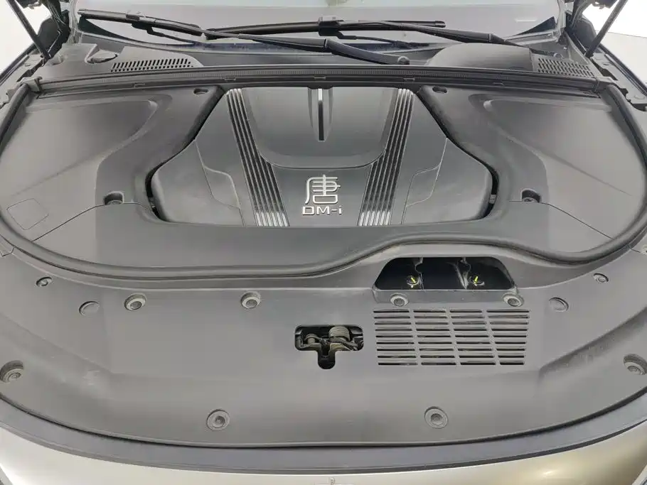 BYD Tang New Energy — миниатюра 10