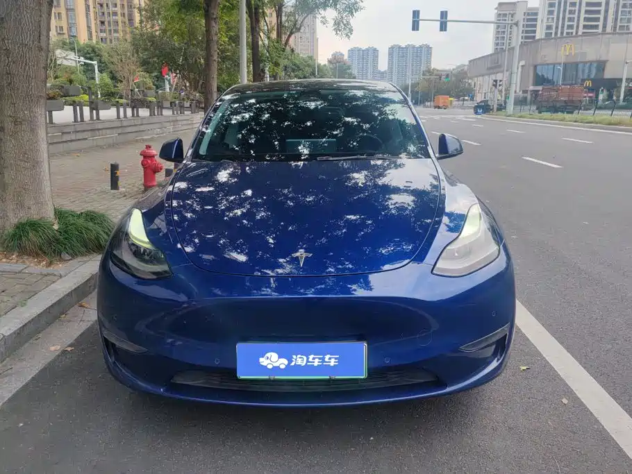 Tesla Model Y — миниатюра 2