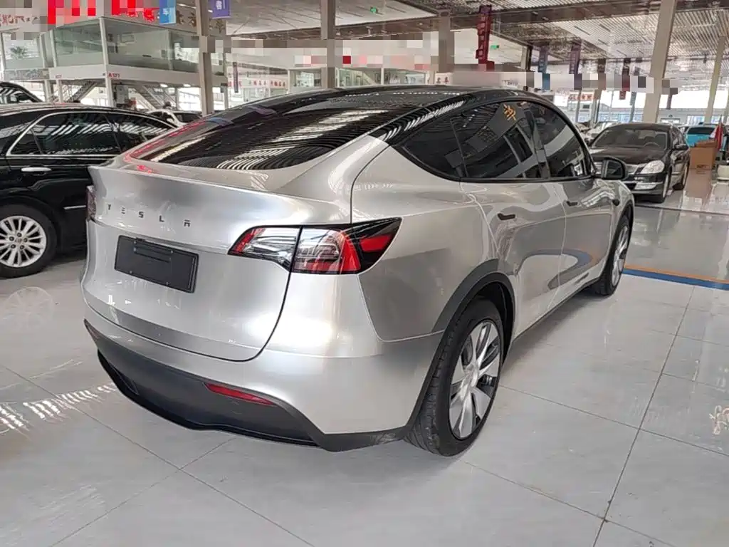 Tesla Model Y — миниатюра 7