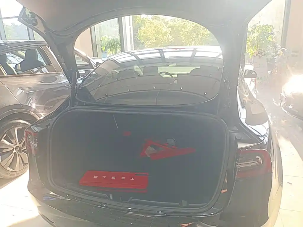 Tesla Model 3 — миниатюра 19