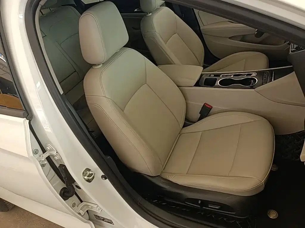 Buick Regal — миниатюра 25