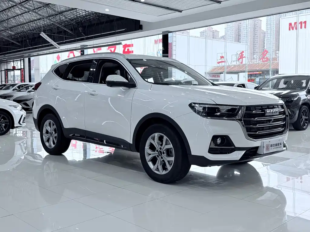 Haval H6 — миниатюра 3