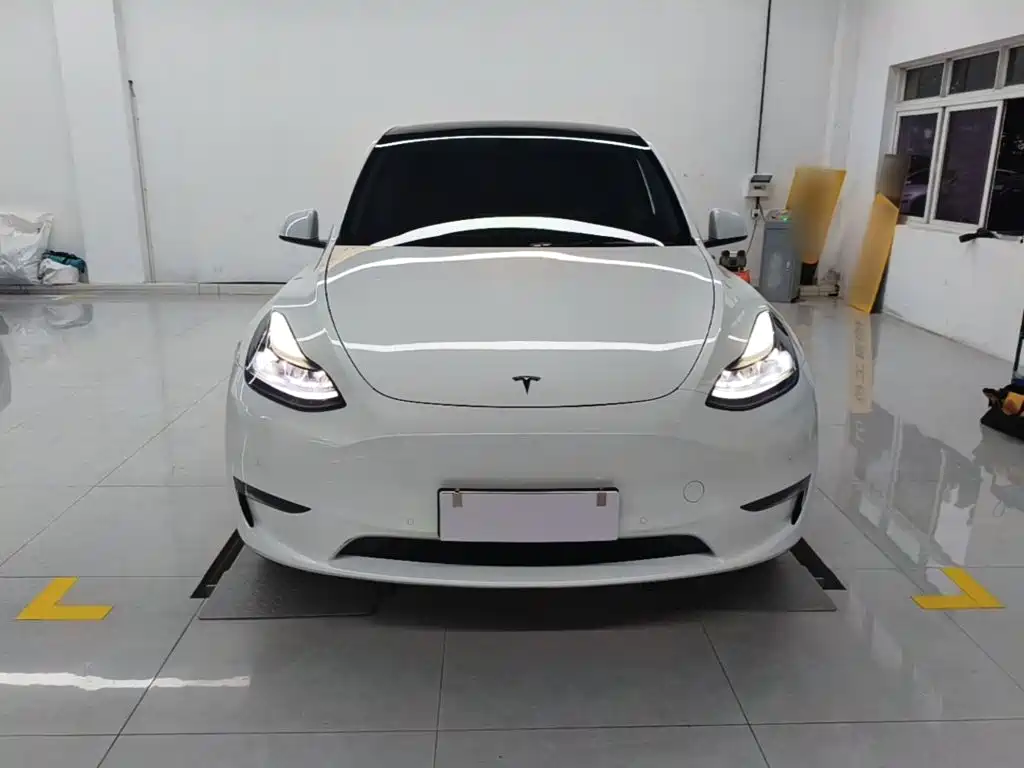 Tesla Model Y — миниатюра 3