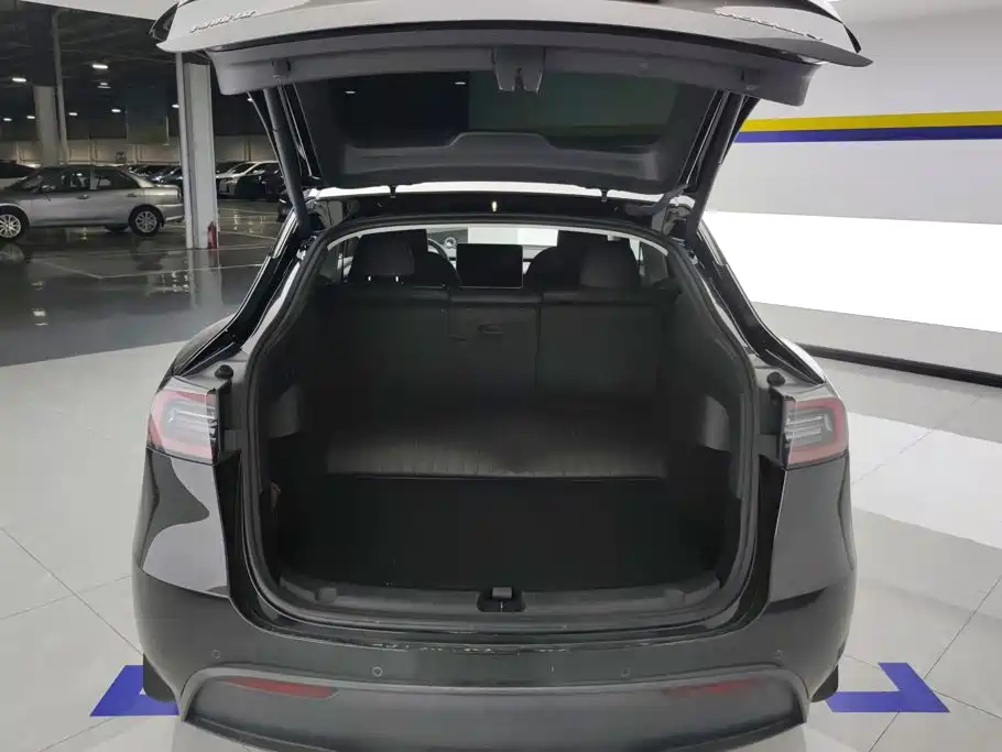 Tesla Model Y — миниатюра 4