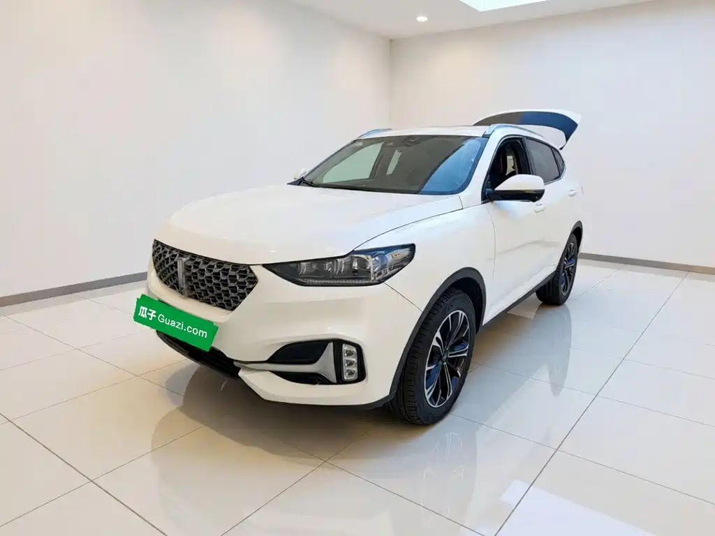 Wey Wey VV6