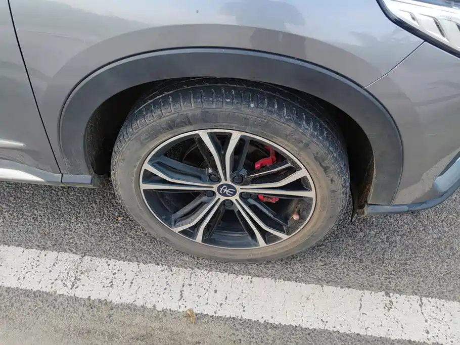 BYD PLUS — миниатюра 6