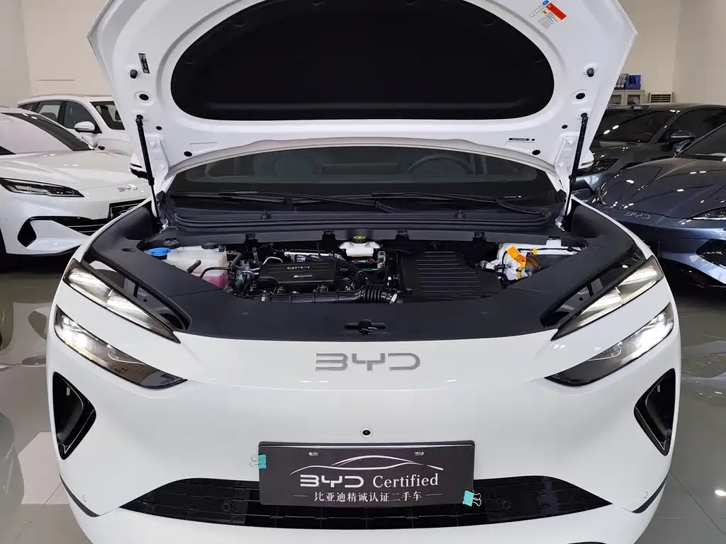 BYD Sealion 06 — миниатюра 14