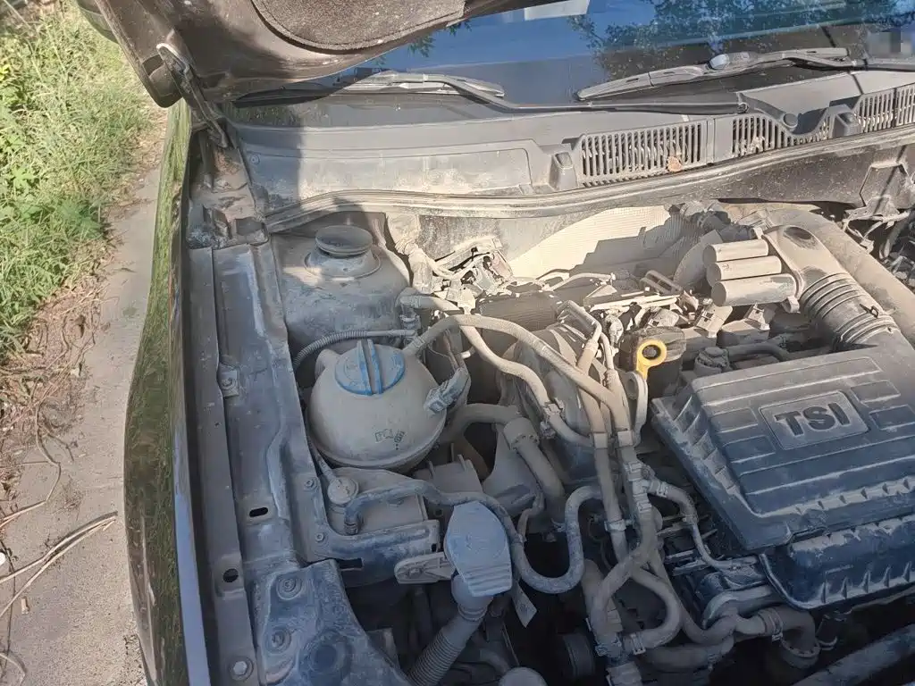Volkswagen Gran Lavida — миниатюра 24