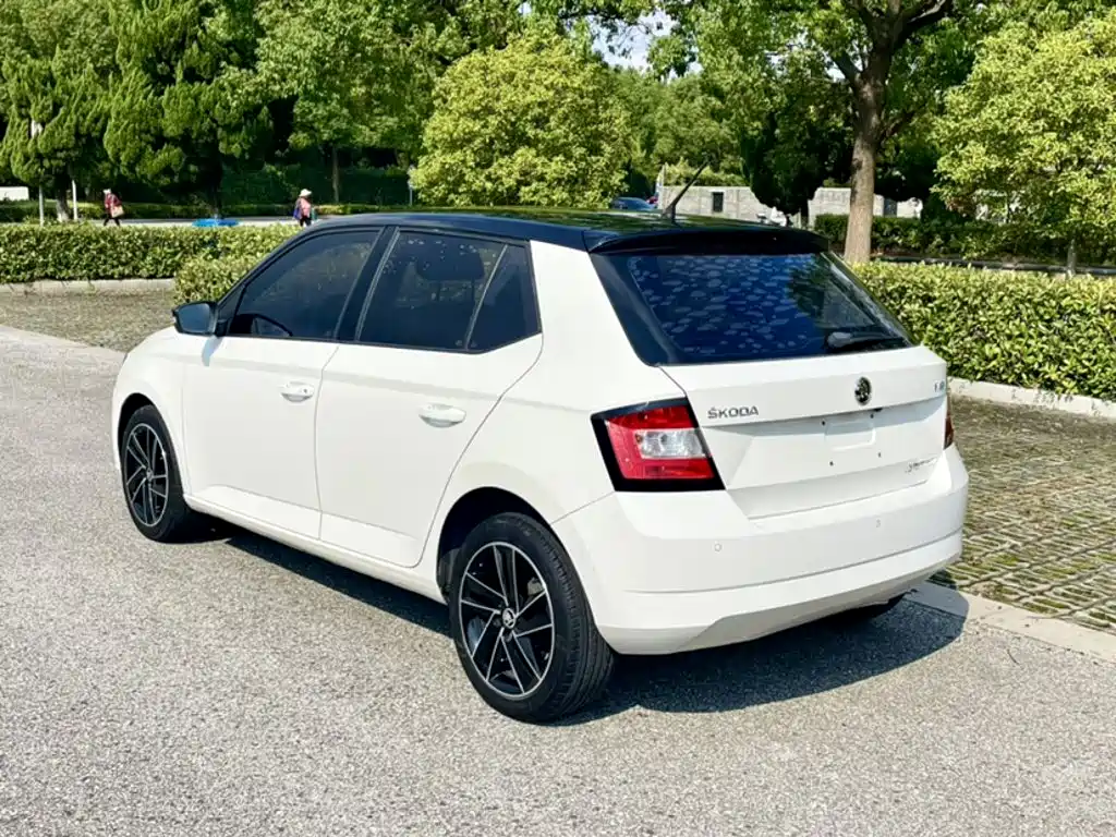 Skoda Fabia — миниатюра 13