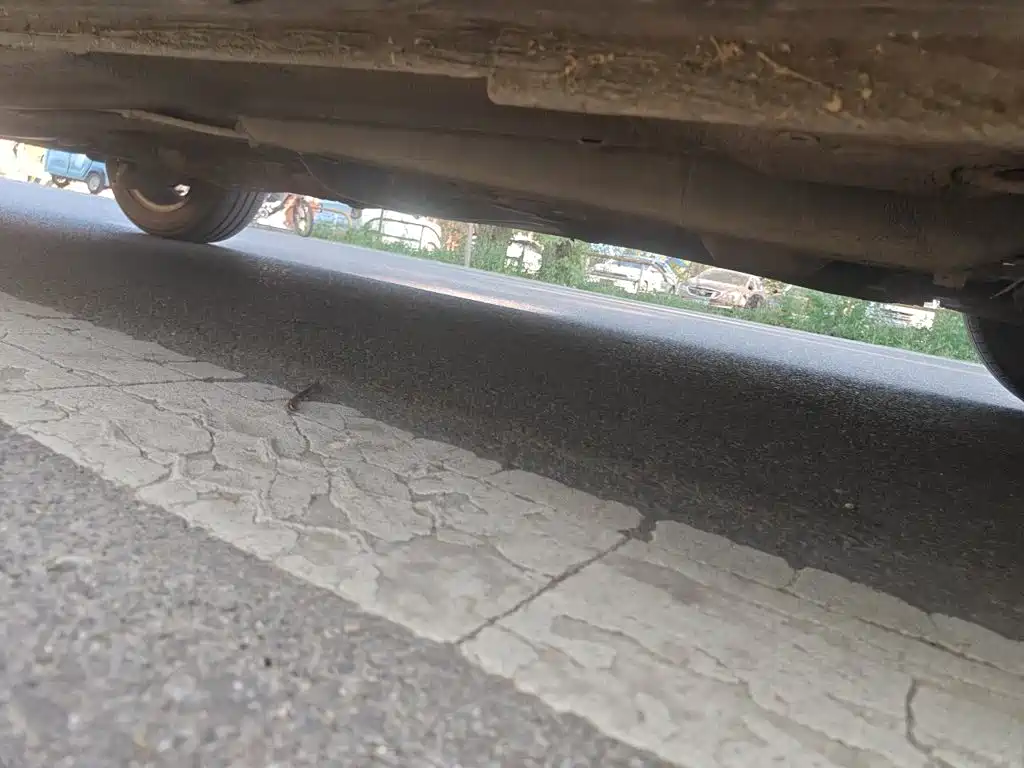 Volkswagen Gran Lavida — миниатюра 21