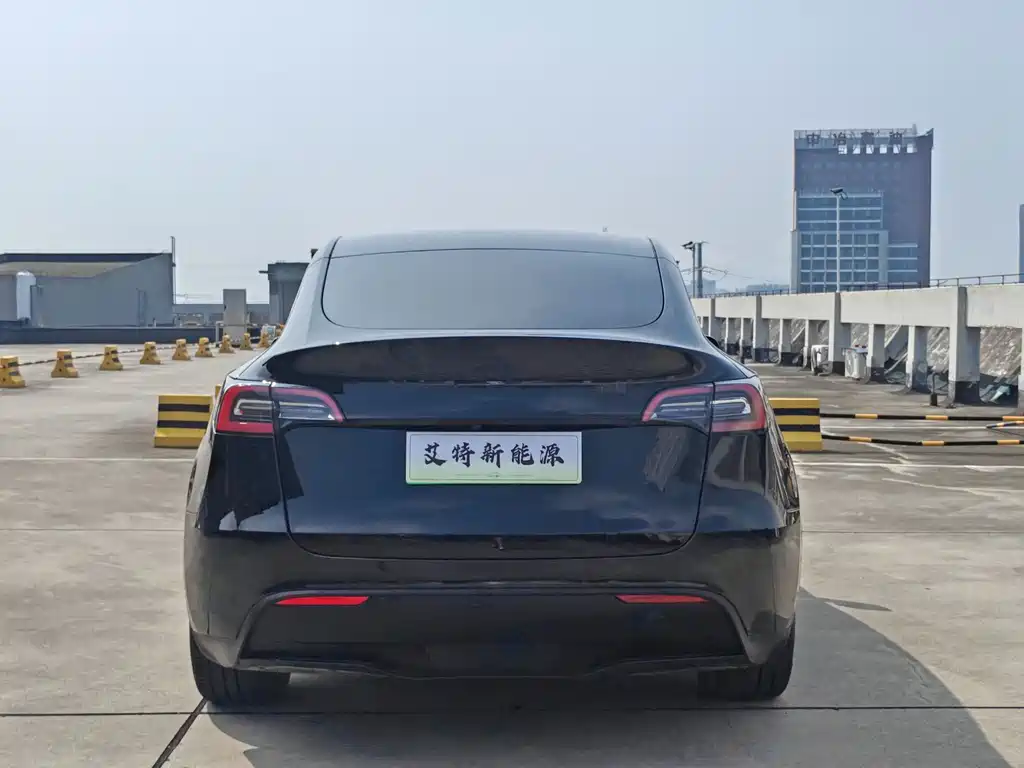 Tesla Model Y — миниатюра 4