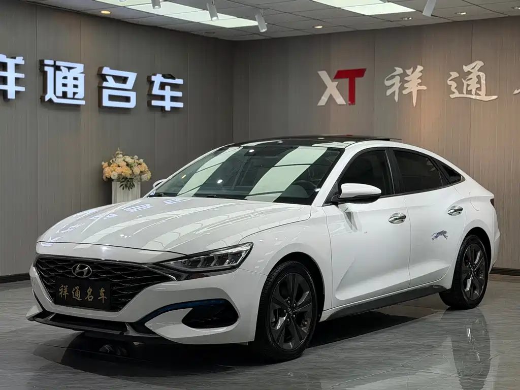 Hyundai Fista — миниатюра 4