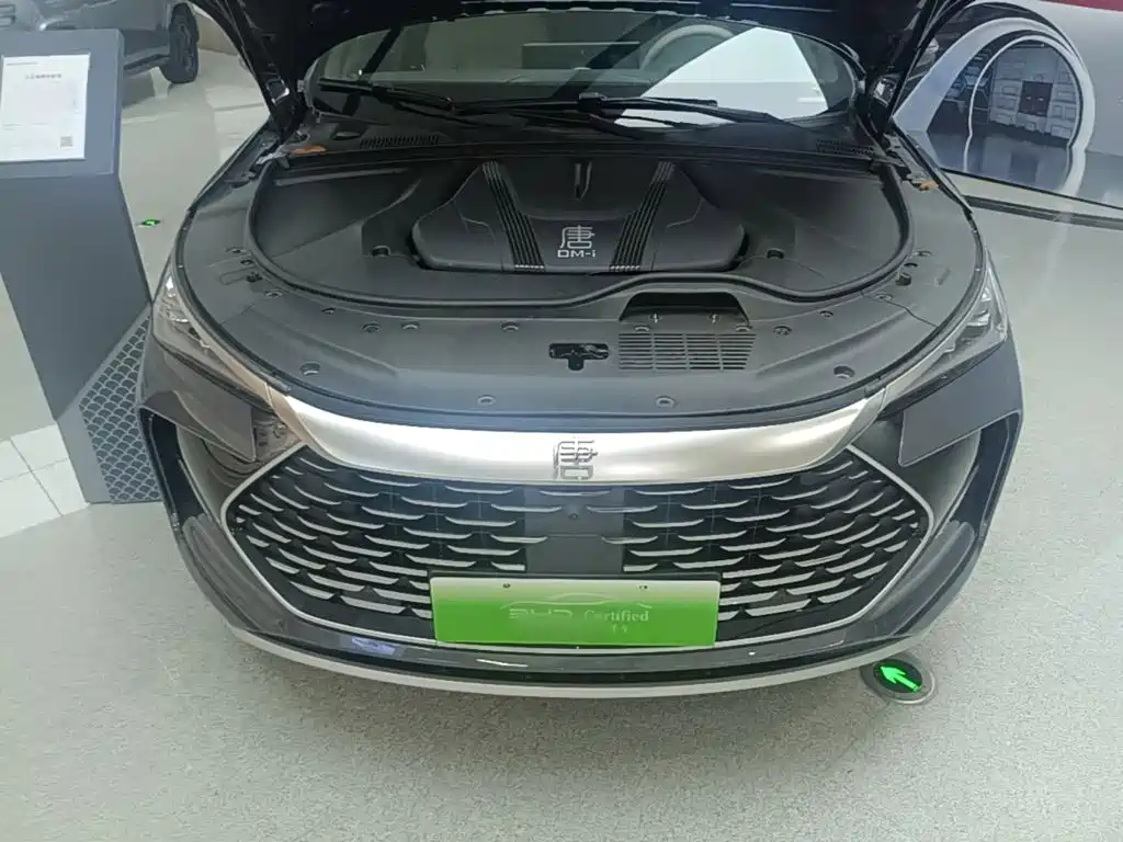 BYD Tang New Energy — миниатюра 20
