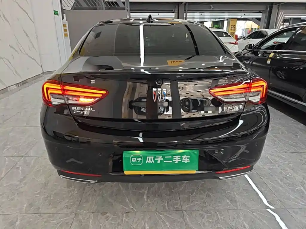 Buick Regal — миниатюра 6