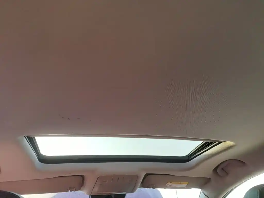 Buick Regal — миниатюра 18