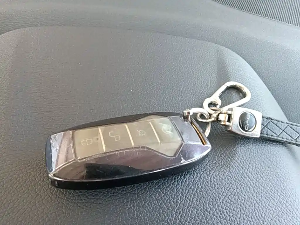 BYD Pro — миниатюра 9