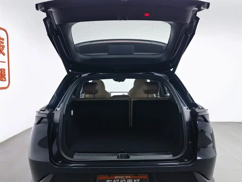 ARCFOX EXTREME FOX POLAR FOX ALPHA T5