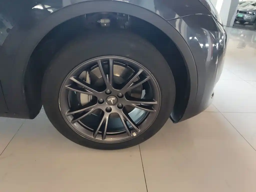 Tesla Model Y — миниатюра 25