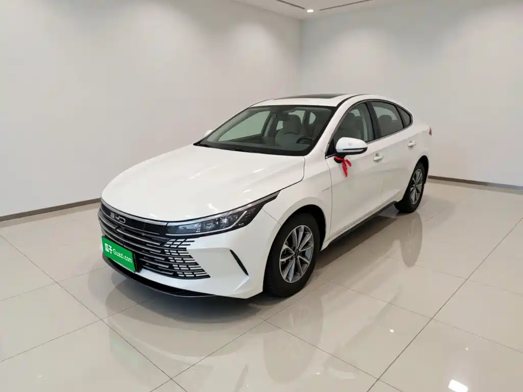 BYD Destroyer 05