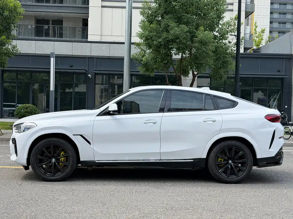 BMW X6 — миниатюра 4