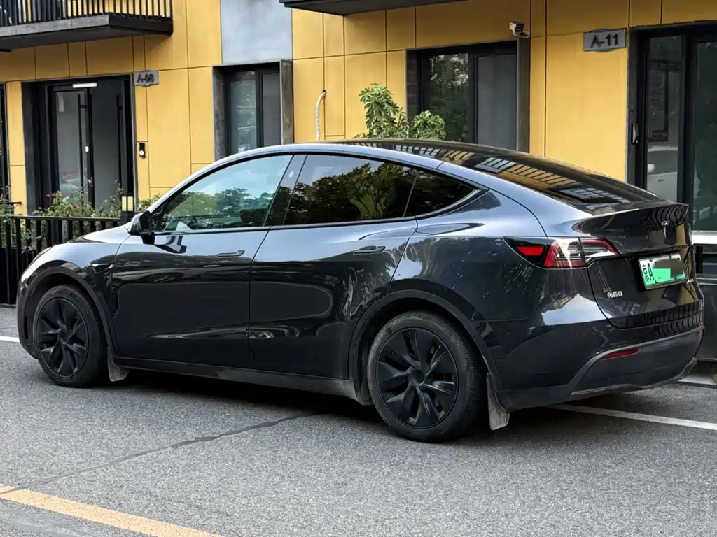 Tesla Model Y — миниатюра 3