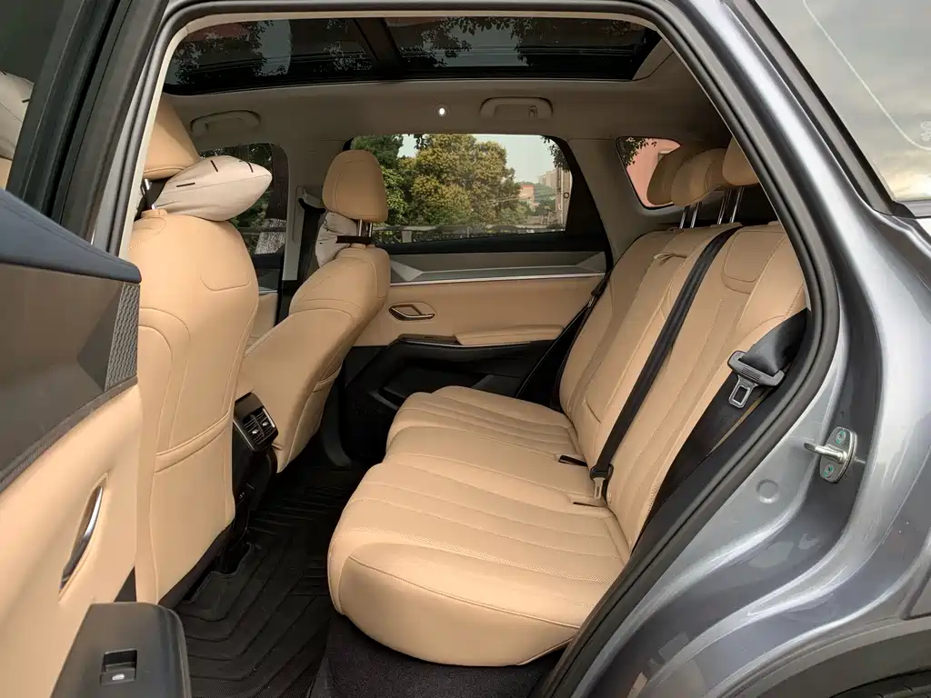 BYD SONGJIANG NEW ENERGY