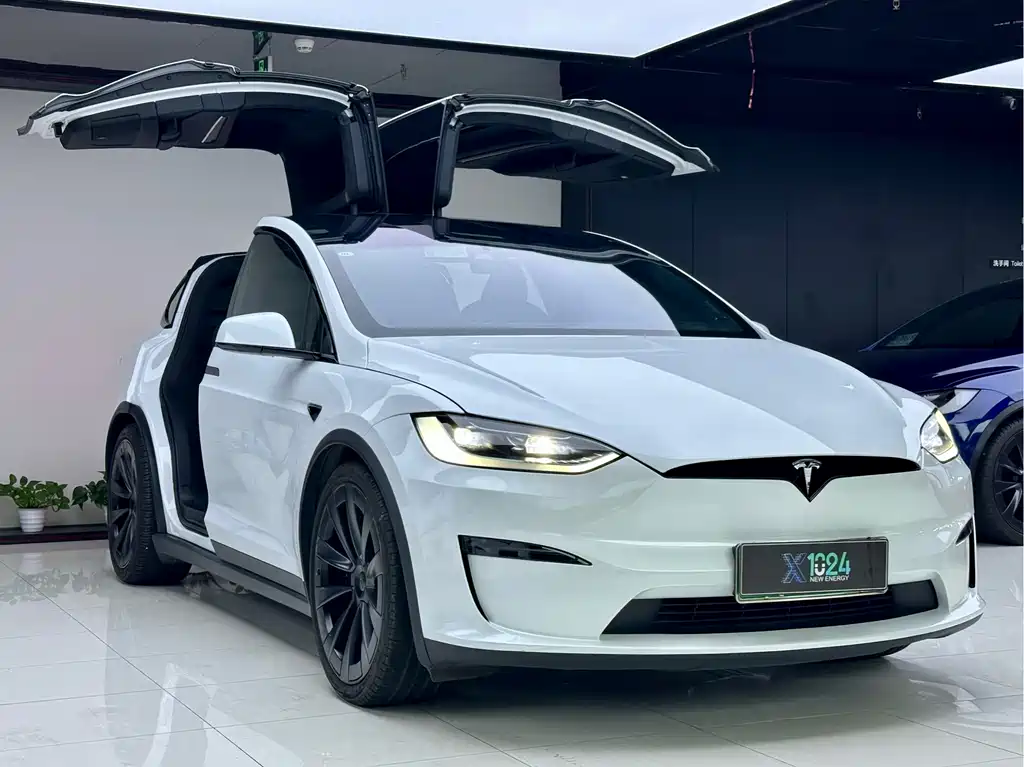 Tesla Model X — миниатюра 3