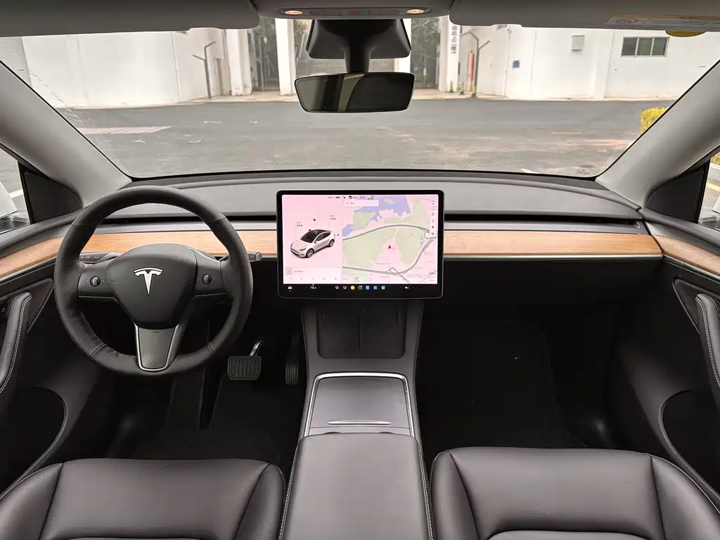 Tesla Model Y — миниатюра 10
