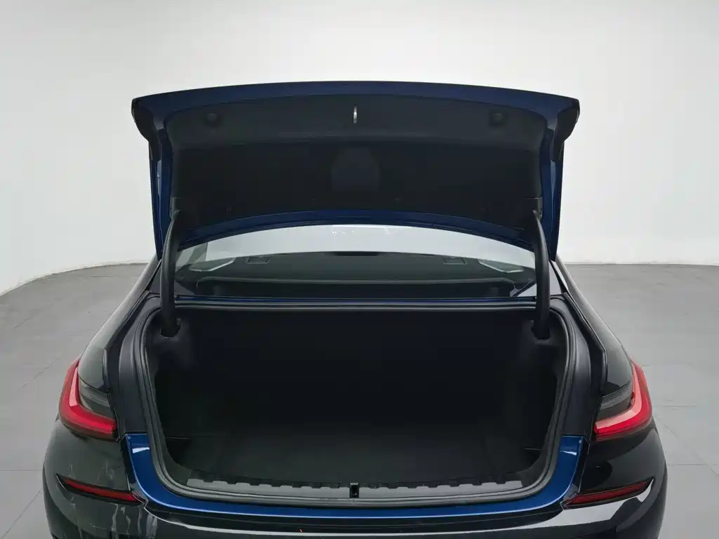 BMW 3 Series — миниатюра 16