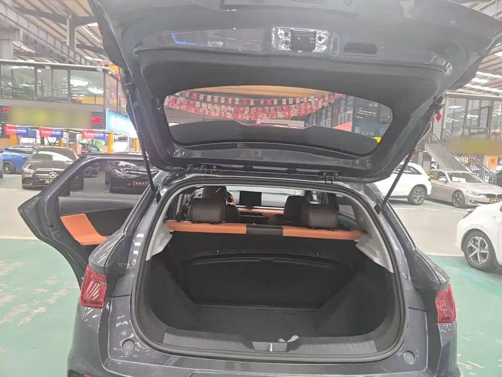 BYD e2 — миниатюра 15