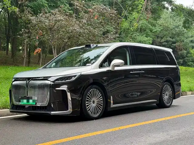 2024 Voyah Dream