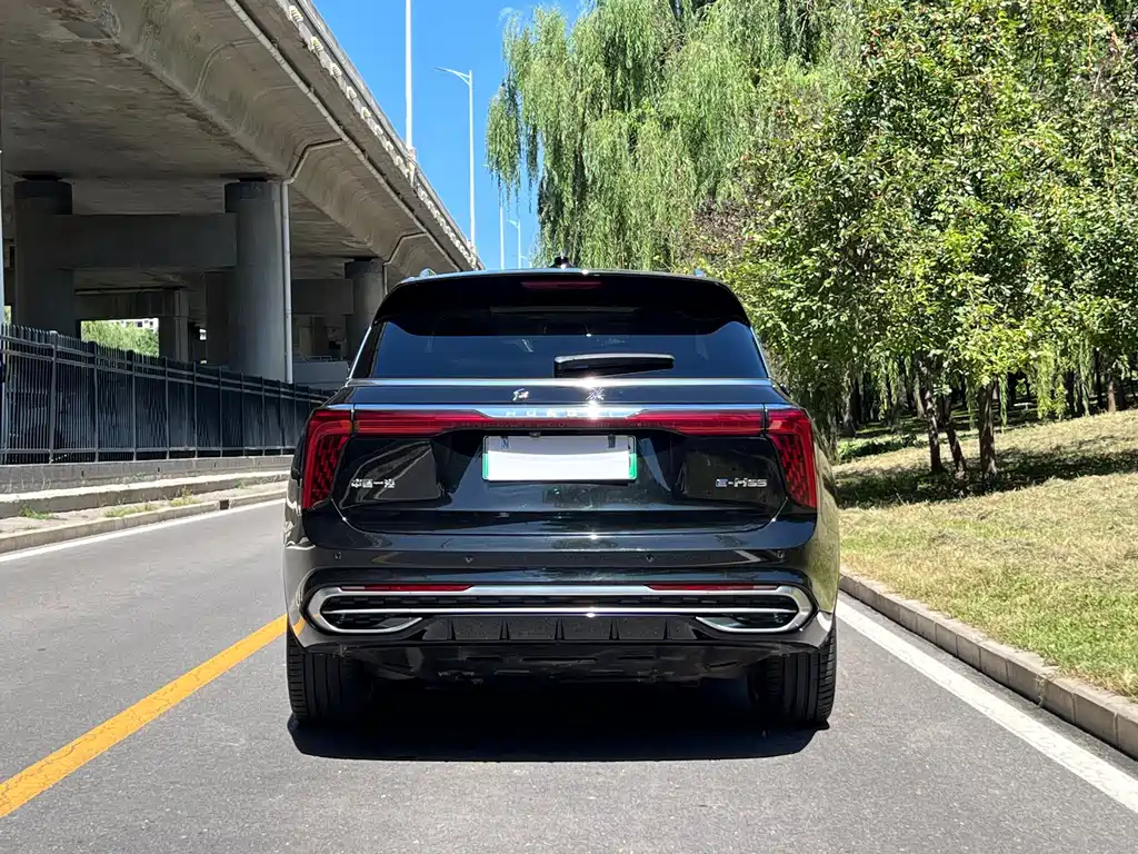 Hongqi Hongqi E-HS9 — миниатюра 6