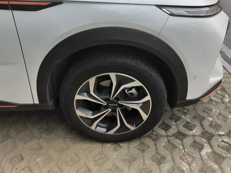 Haval Shenshou — миниатюра 6