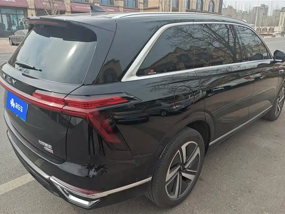 WEI PAI WEI BRAND BLUE MOUNTAIN