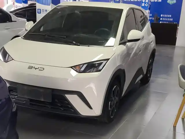 2025 BYD Seagull