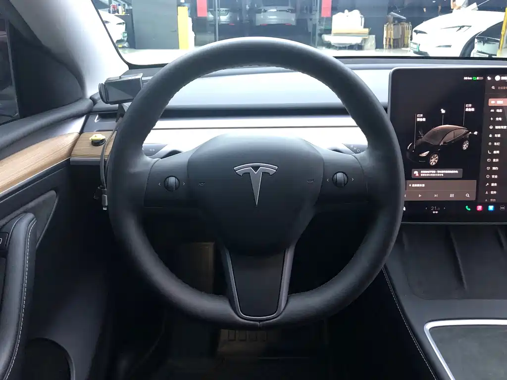 Tesla Model Y — миниатюра 15