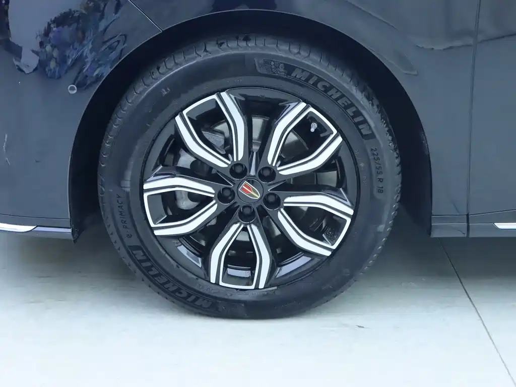 Hongqi HQ9 2023 2.0T