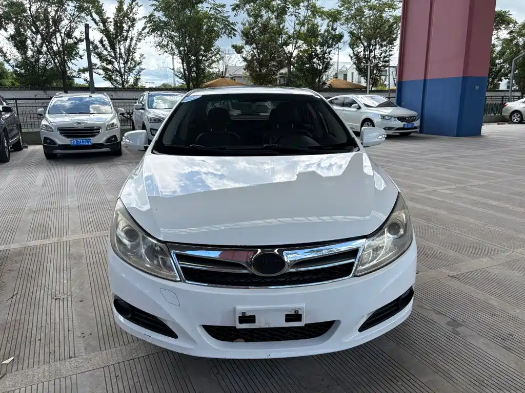 BYD Surui — миниатюра 2