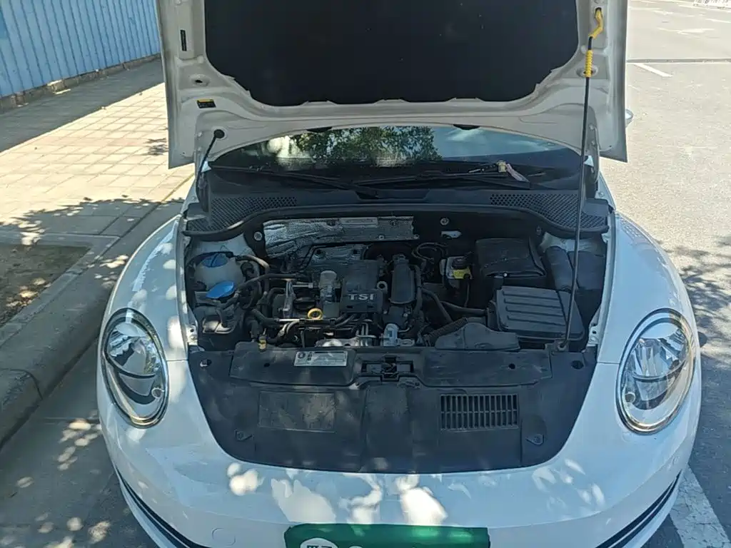 Volkswagen Beetle — миниатюра 20