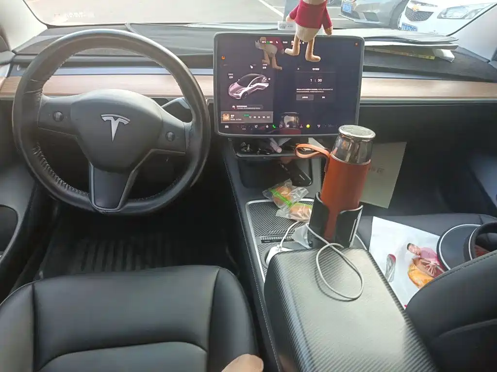 Tesla Model 3 — миниатюра 5