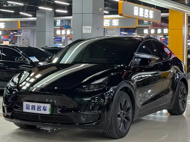 TESLA MODEL Y 2024