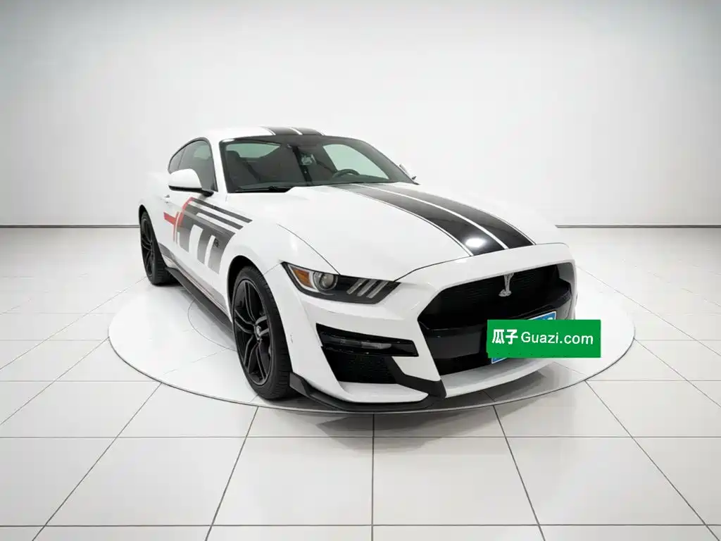 Ford Mustang — миниатюра 3